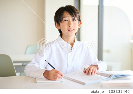 勉強をする小学生の男の子 勉強をする小学生の男の子 102833446
