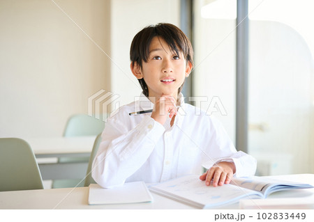 勉強をする小学生の男の子 102833449