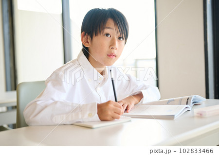 勉強をする小学生の男の子 102833466