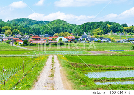 長閑な農村の風景 102834017