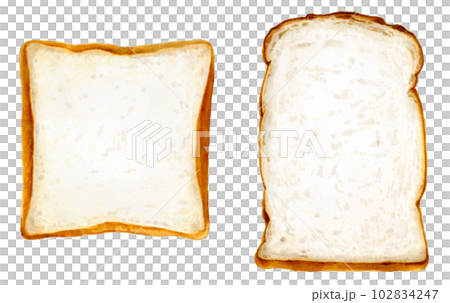 Hand drawn watercolor touch illustration_sliced bread and British bread 102834247