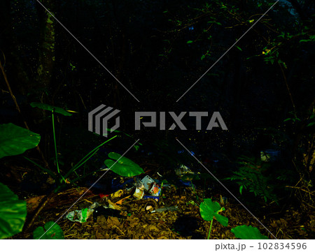 森に捨てられたゴミの周りを飛ぶホタル 102834596