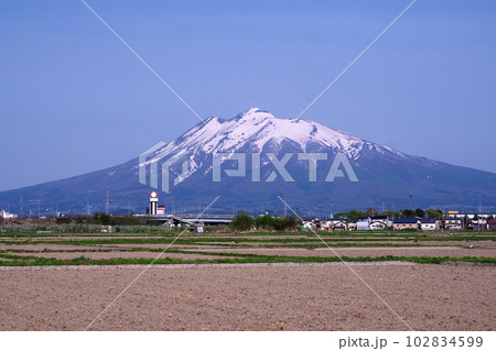 弘前市から見た岩木山 102834599