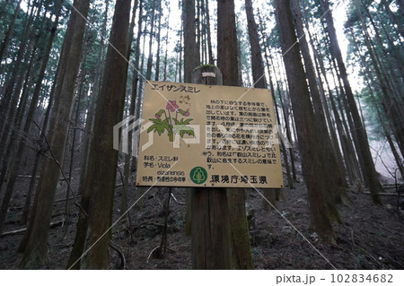 伊豆ケ岳山頂から正丸峠へ。正丸峠から正丸駅に向かう登山道にある説明板　2023年2月17日 102834682