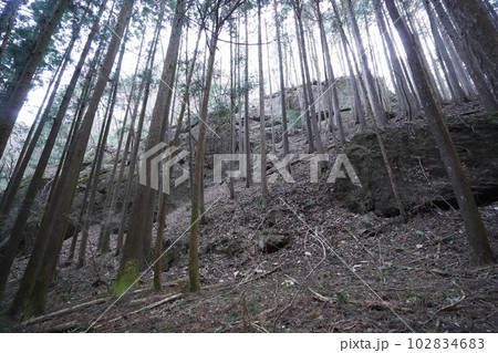 伊豆ケ岳山頂から正丸峠へ。正丸峠から正丸駅に向かう登山道 2023年2月17日 伊豆ケ岳山頂から正丸峠へ。正丸峠から正丸駅に向かう登山道 2023年2月17日 102834683