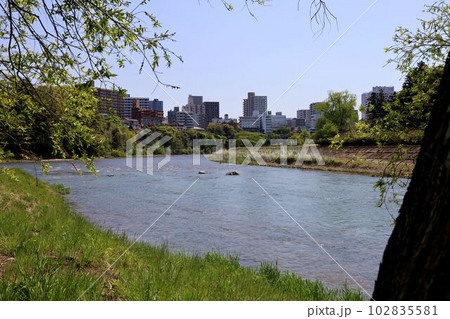広瀬川の風景、河川敷の自然 102835581