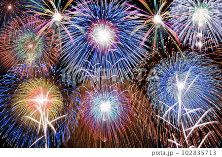 花火 102835713