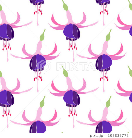 Pattern Pink and Purple Fuchsia Bella.  Pattern Pink and Purple Fuchsia Bella.  102835772