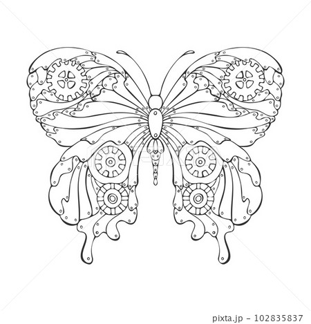 Steampunk butterfly outline linear drawing handmade in doodle style. 102835837