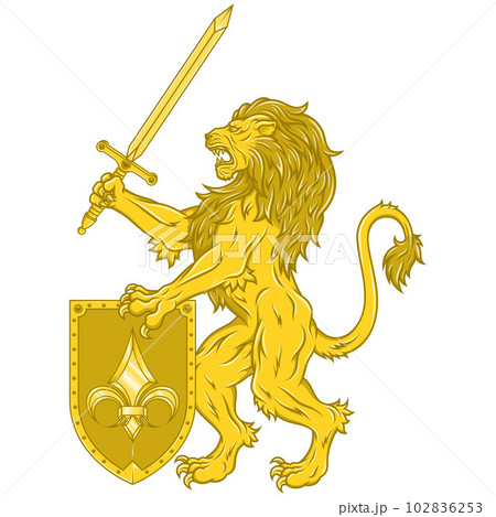 Vector design of lion with sword and shield 102836253
