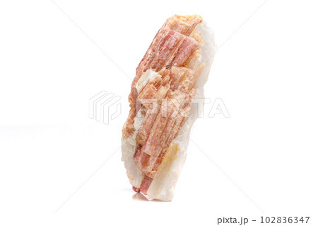 Macro mineral stone Tourmaline in the breed a white background 102836347