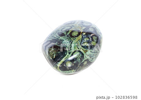 Macro mineral stone jasper kambaba on a white background Macro mineral stone jasper kambaba on a white background 102836598