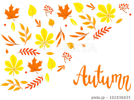 Background with autumn leaves. Beautiful decorative natural plants and foliage. 102836835