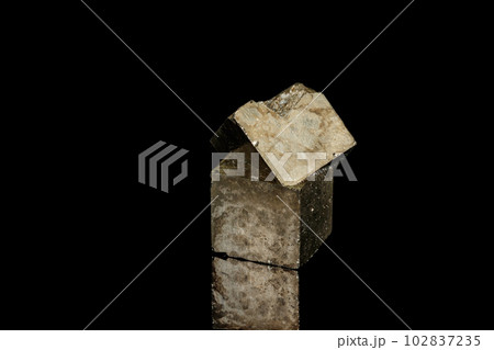 Macro mineral stone Pyrite on a black background 102837235