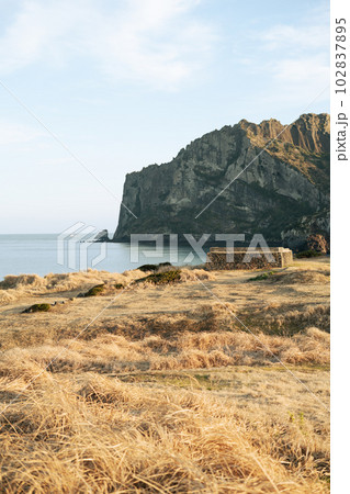 Winter of Seongsan Ilchulbong volcanic crater seaside olle trail in Jeju island, Korea Winter of Seongsan Ilchulbong volcanic crater seaside olle trail in Jeju island, Korea 102837895