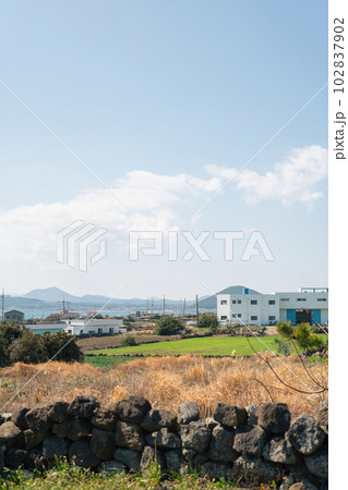Udo island olle trail, seaside country village in Jeju island, Korea 102837902