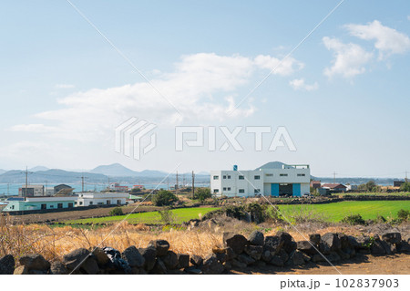 Udo island olle trail, seaside country village in Jeju island, Korea 102837903
