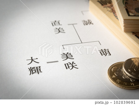 家系図　夫婦　婿　婿養子　相続 102839691