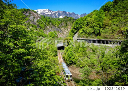 只見線　春の余韻沢橋梁を渡る列車キハ110系(福島県只見町、5月上旬午前) 102841039
