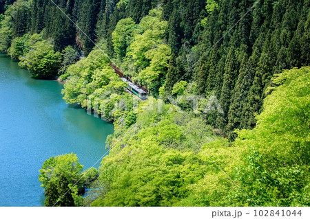 春の只見川沿いを走る只見線の早戸俯瞰(福島県三島町、5月上旬午後) 春の只見川沿いを走る只見線の早戸俯瞰(福島県三島町、5月上旬午後) 102841044