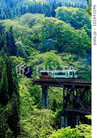 只見線　春の滝谷川橋梁を渡る列車(福島県柳津町、5月上旬午後) 102841046