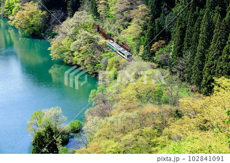 春の只見川沿いを走る只見線の早戸俯瞰(福島県三島町、4月下旬午後) 春の只見川沿いを走る只見線の早戸俯瞰(福島県三島町、4月下旬午後) 102841091