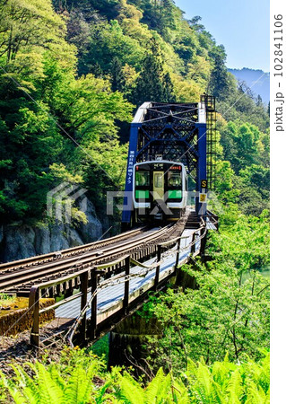 只見線　春の第四只見川橋梁を渡る列車キハE120形(福島県金山町、5月上旬早朝) 102841106