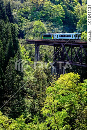 只見線 春の滝谷川橋梁を渡る列車(福島県柳津町、5月上旬午後) 只見線 春の滝谷川橋梁を渡る列車(福島県柳津町、5月上旬午後) 102841135