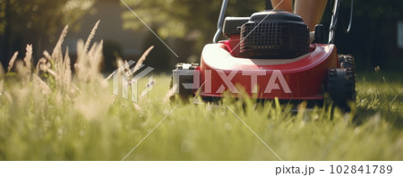 Woman wearing boots and gloves mowing the lawn with a motor lawnmower on a sunny day. AI Generative. 102841789