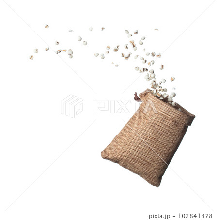 Job's Tear flying in sack bag, white grain job tear float abstract cloud fly. Beautiful job's tear sack bag splash in air, food object design. Wooden background isolated high speed freeze motion Job's Tear flying in sack bag, white grain job tear float abstract cloud fly. Beautiful job's tear sack bag splash in air, food object design. Wooden background isolated high speed freeze motion 102841878