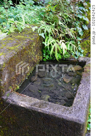 山道の憩いの場 102842425