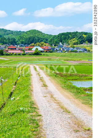 長閑な農村の風景 102842890