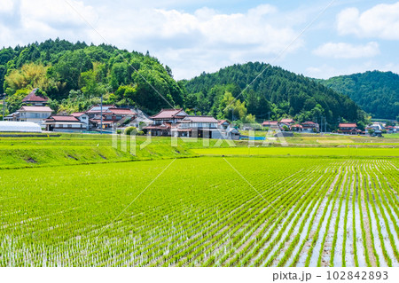 長閑な農村の風景 102842893