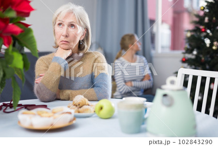 Portrait of a mature woman who took offense at daughter 102843290