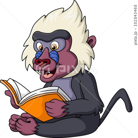 Cute mandrill baboon cartoon reading a book Cute mandrill baboon cartoon reading a book 102843468