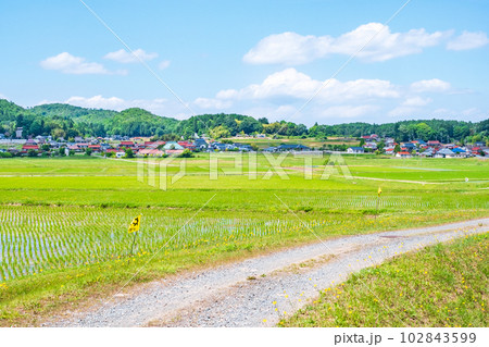 長閑な農村の風景 102843599