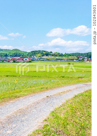 長閑な農村の風景 102843601