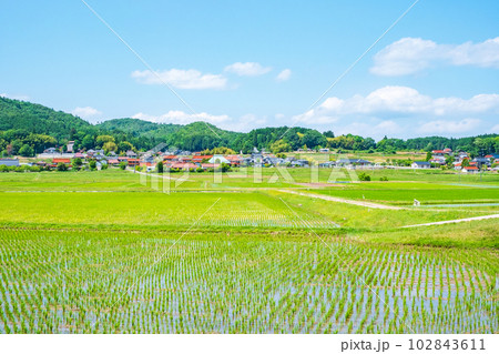 長閑な農村の風景 102843611