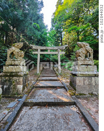伊賀武神社・八重垣神社 102844032