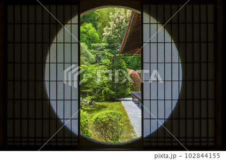 東福寺　芬陀院（雪舟寺）図南亭から望む東庭　新緑の季節 102844155