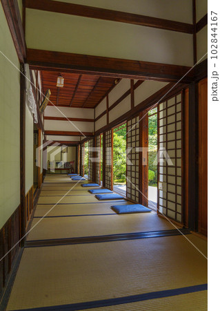 東福寺　芬陀院（雪舟寺）趣のある和室と庭 102844167