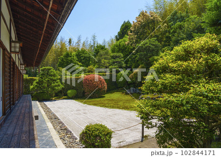 東福寺 芬陀院(雪舟寺)鶴亀の庭 東福寺 芬陀院(雪舟寺)鶴亀の庭 102844171