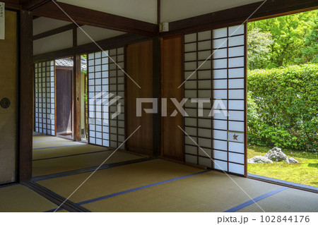 東福寺 芬陀院(雪舟寺)趣のある和室から見る庭 東福寺 芬陀院(雪舟寺)趣のある和室から見る庭 102844176