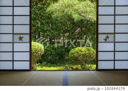 東福寺　芬陀院（雪舟寺）趣のある和室から見る庭 102844179