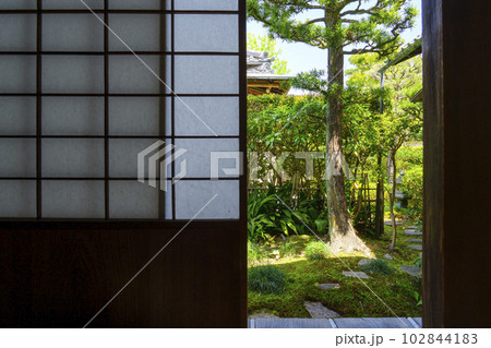 東福寺　芬陀院（雪舟寺）茶室から見える庭 102844183
