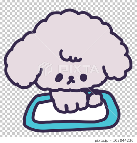 トイレトレーの上でおすわりしているかわいいトイプードルの子犬のイラスト 102844236