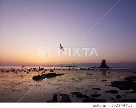 富山県高岡市雨晴海岸女岩 富山県高岡市雨晴海岸女岩 102844715