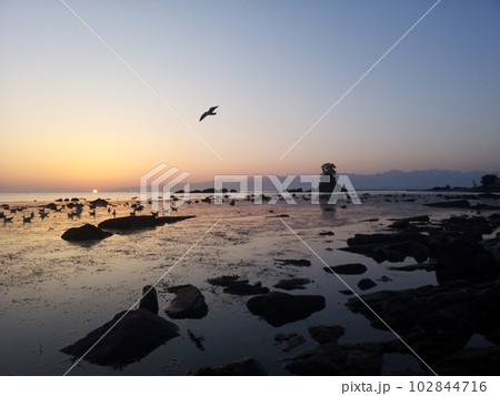富山県高岡市雨晴海岸女岩 富山県高岡市雨晴海岸女岩 102844716