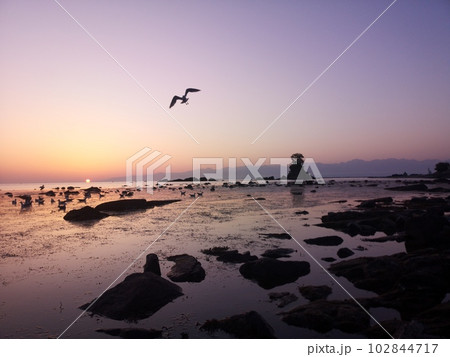富山県高岡市雨晴海岸女岩 富山県高岡市雨晴海岸女岩 102844717