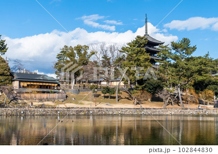 《奈良県》興福寺五重塔を望む昼の猿沢池 102844830